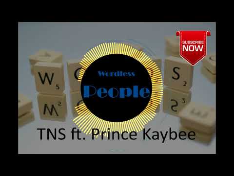 TNS – Wordless People ft  Prince Kaybee