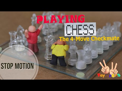 STOP MOTION - Four Move Checkmate