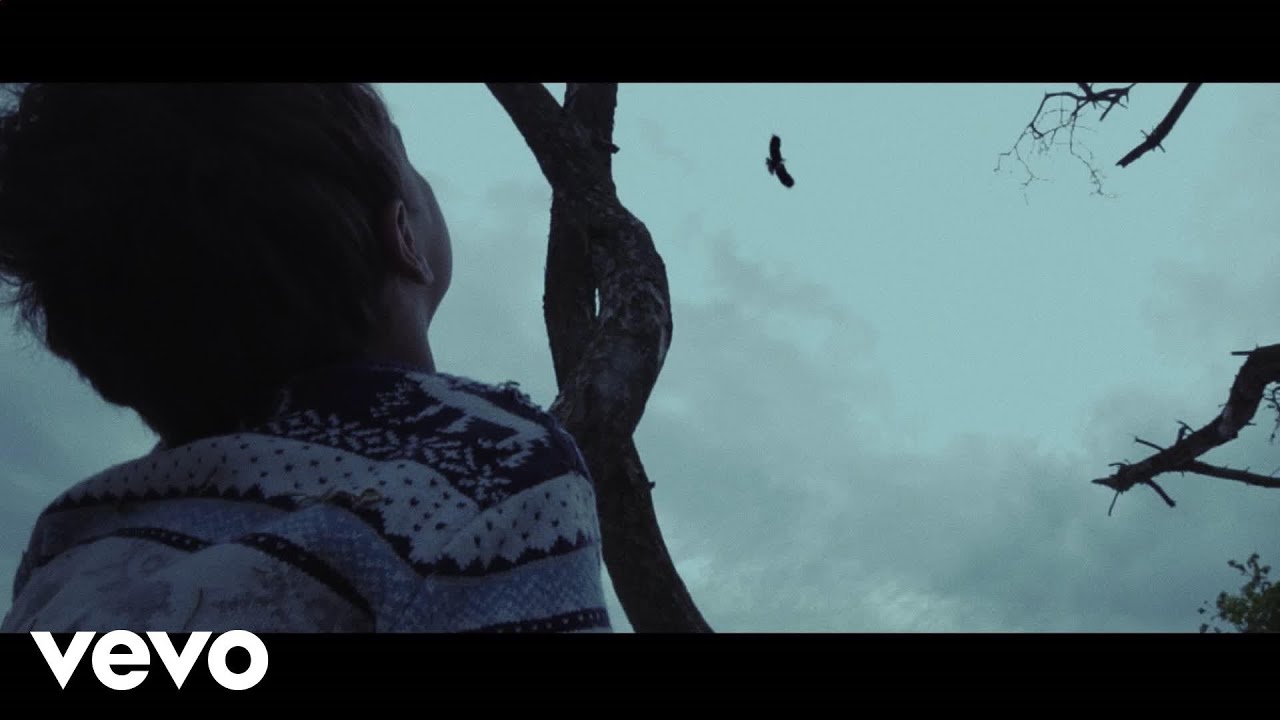 Dotan