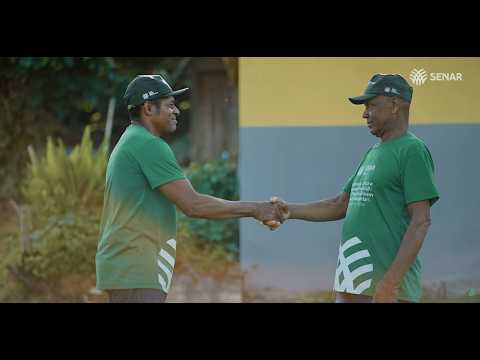 Senar atinge a marca de 500 mil atendimentos