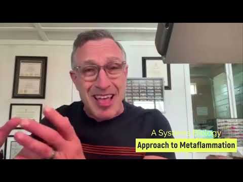 Jim LaValle on Metaflammation & Aging | SYNERGY 2025 Speaker Preview