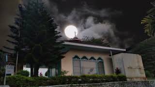 Download lagu story wa  tarhim subuh 2023 mp3