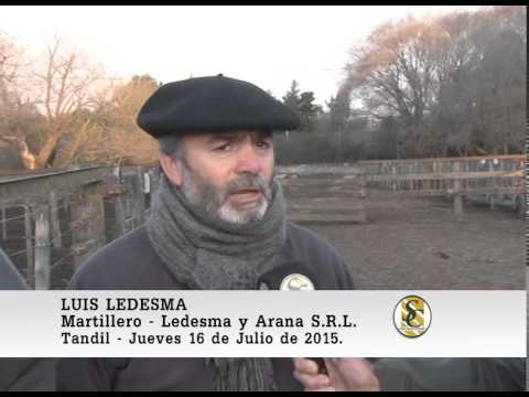 16-07-15 Nota Luis Ledesma - Ledesma y Arana S.R.L. - Tandil.