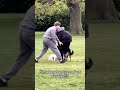 Man Sticks Finger In German Shepherd S Butt To Save Tiny Dog Insane Park Rescue Caught On Camera