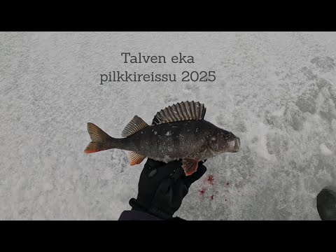 Ahvenen pilkintää - Talven eka pilkkireissu