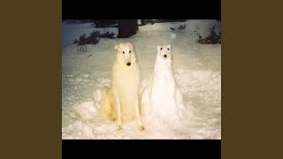 Every Dog Has Its Day