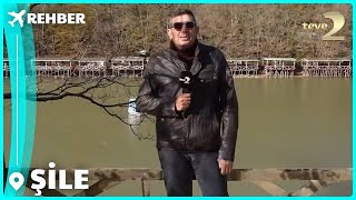 Rehber 296. Bölüm | ŞİLE FULL BÖLÜM İZLE!