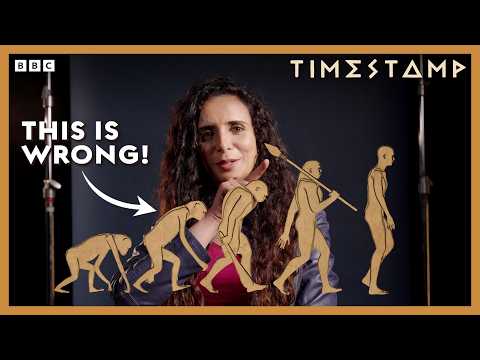 Debunking The Biggest Myths About Human Evolution | Bbc Timestamp