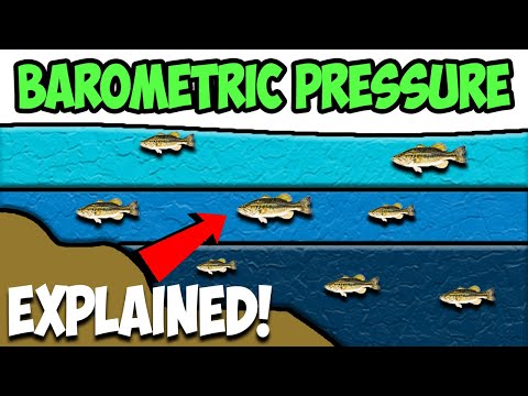 How BAROMETRIC PRESSURE Effects Fishing (Explained!)