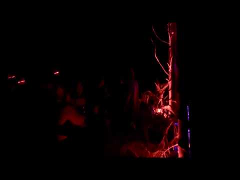 Amber Long live at Amapola Tulum - Feb 23 2020