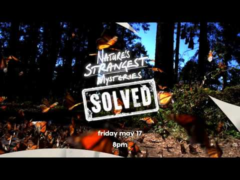 Thumbnail of the video: Nature's Strangest Mysteries: Solved (2019) Intro