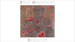 Steve Hauschildt - Mixed Messages