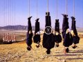 Alan Parsons - I'm Talkin' To You