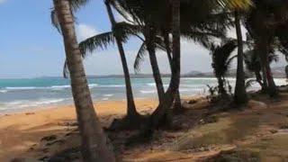 Makaha Sons of Ni'ihau ( Israel Kamakawiwo'ole) - Nohili e (Lyrics)