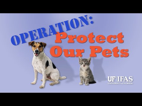 Operation: Protect Our Pets - Dog Heartworms