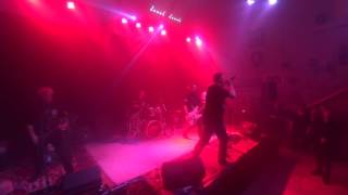 Die Toten Hosen   Alles aus Liebe live performed von der Band Kauf Mich