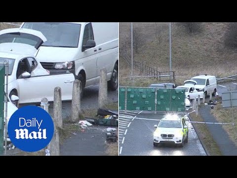 Forensic team tend to scene after police shoot dead suspect - Daily Mail