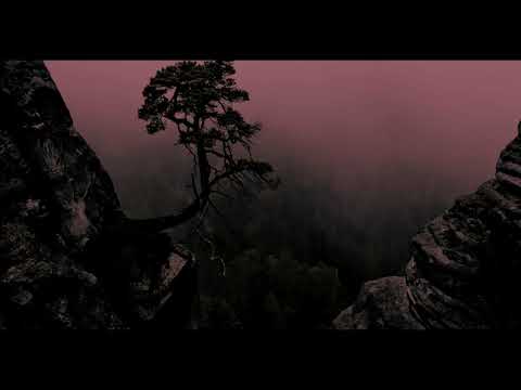 Cure the Beast (Steinway) & Σκηνοθέτης  - Φωλιά στον γκρεμό