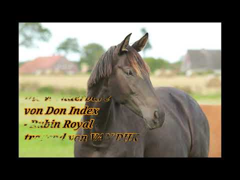 Unsere Anpaarungen 2023