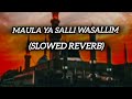 Maula Ya Salli Slowed Reverb Naath Islamic Shorts