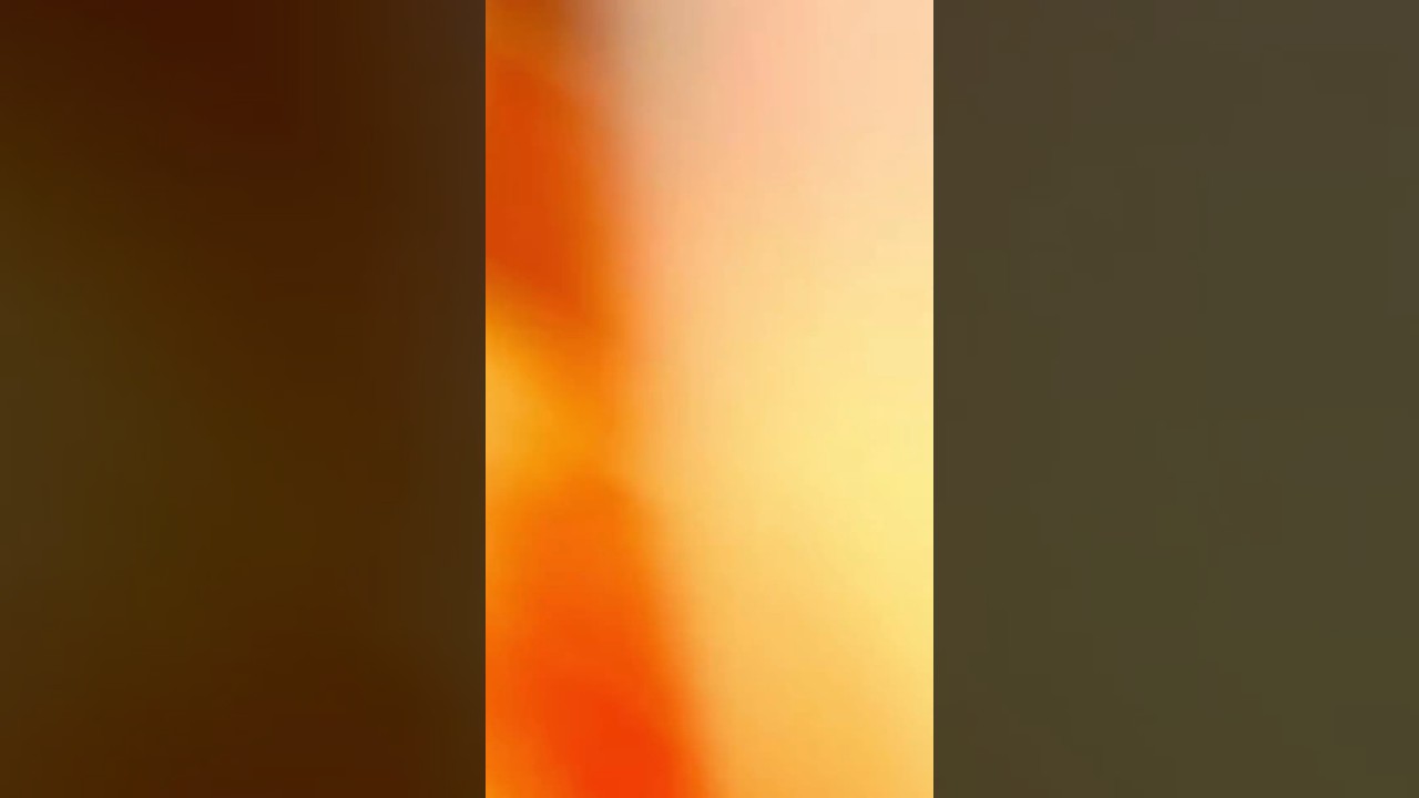 The Art of Baking: From Classic Bread to Artisan Pastries