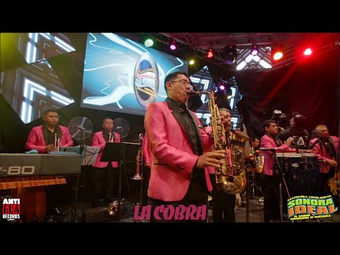 La Cobra / El Trenecito / Cumbia Caliente - Marimba Orquesta Sonora Ideal