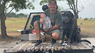 Opening Day Of DOVE SEASON In TEXAS! {Catch Clean Cook} Ryders First Hunting Season