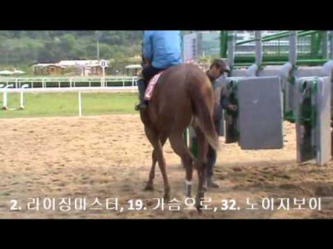 RisingMaster+GaSeumEuRo+Noisy