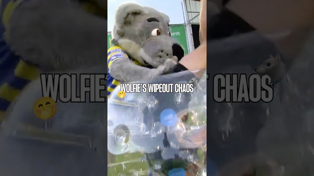 Wolfieβs Wipeout Continues to Deliver πΊπ€£ Absolute Chaos. #shorts #chaos #wolfie
