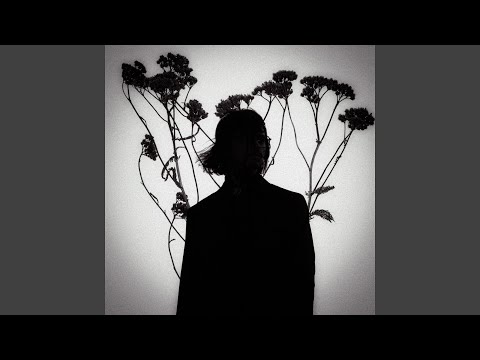 Срібний пульсар