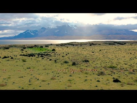 patagonia-4k--tiffen-dji-mavic-pro-2-filters