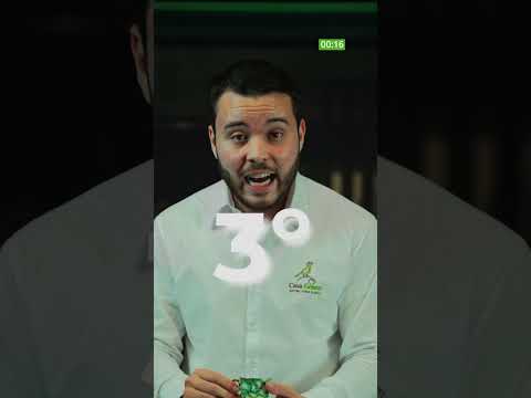 MS = Mina de ouro do eucalipto 💰