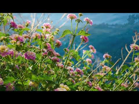 OSTASII LUI HRISTOS - Corul barbatesc Betleem - Londra  - Ce mare har!