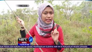 Download lagu Cara Tangkap Ikan Tradisional di Belitung - NET 12 mp3 Download lagu Cara Tangkap Ikan Tradisional di Belitung - NET 12 mp3