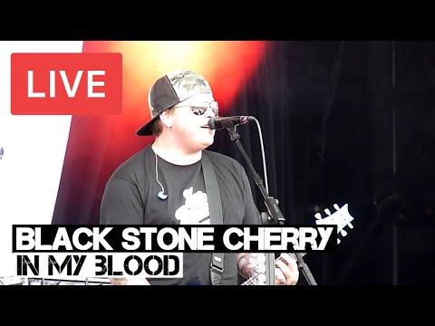 Black Stone Cherry - In My Blood Live in [HD] @ Hard Rock Calling 2012