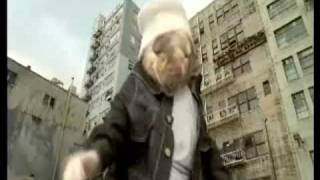 The Choice is Yours - Black Sheep (Kia Soul Mix) 3.mp4