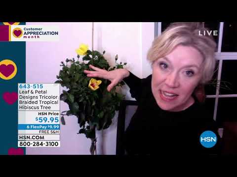 HSN | Project Home 04.10.2020 - 11 PM