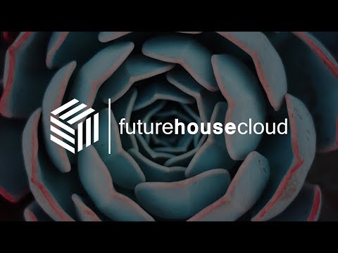 Tom Berx & Nev Hertz - Ephemeral