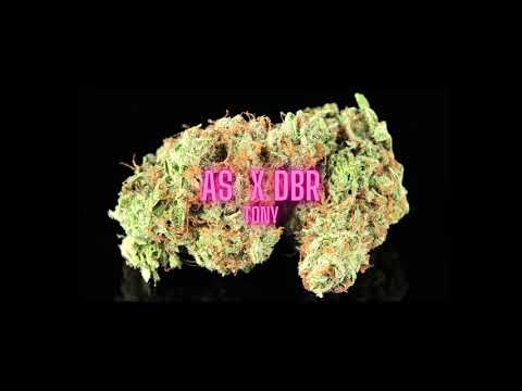 as x dbr - TONY (prod. by Tim House)