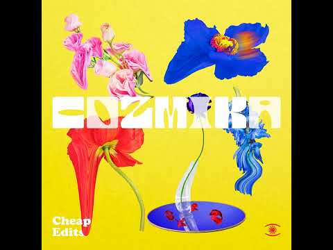 CheapEdits - Ode To My Youth MFD REC