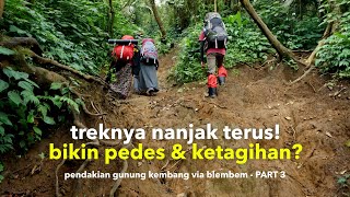 Download lagu Trek Pendakian Gunung Kembang via Blembem Wonosobo Bikin Ketagihan? - EPISODE 2 Part 3 mp3