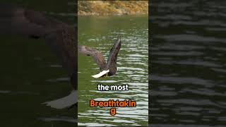 Alaska Cruise Tip: Don’t Book Without Watching This!