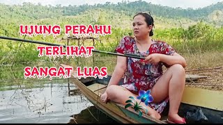 Download lagu Gaasss sarang ikan seperti ini yang bisa bikin seger mp3 Download lagu Gaasss sarang ikan seperti ini yang bisa bikin seger mp3