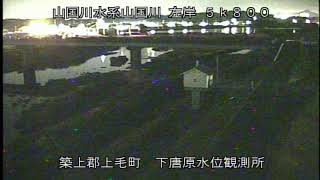 動画のサムネイル