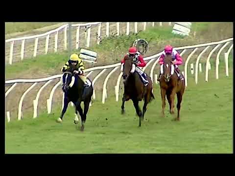 Napoli Galoppo 01/02/2022 - 1ª corsa