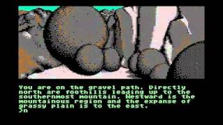 The Pawn (Rainbird) C64 graphic adventure (me just messing about sort of thing)