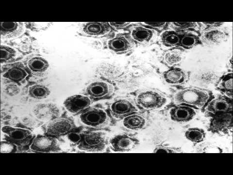 Guille Quero - Virus (Original Mix)