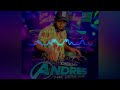 Dj Andres Vicadi Singh Celebrate Life X Kabhi Alvida Naa Kehna Emotional Version