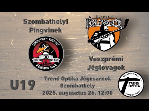 U19  Szombathelyi Pingvinek - Veszprémi Jéglovagok