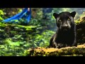 Markus Schulz feat. Angelique Bergere vs. Madonna - L!ghtwave Goodbye HD